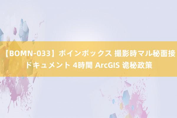【BOMN-033】ボインボックス 撮影時マル秘面接ドキュメント 4時間 ArcGIS 诡秘政策
