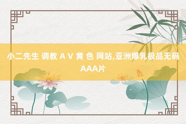 小二先生 调教 A V 黄 色 网站，亚洲爆乳极品无码AAA片
