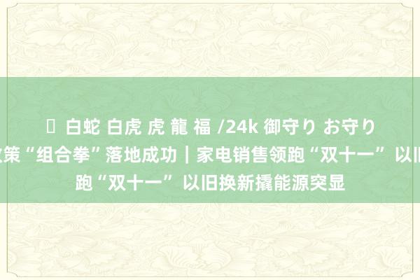 ✨白蛇 白虎 虎 龍 福 /24k 御守り お守り 财经聚焦·激情政策“组合拳”落地成功｜家电销售领跑“双十一” 以旧换新撬能源突显