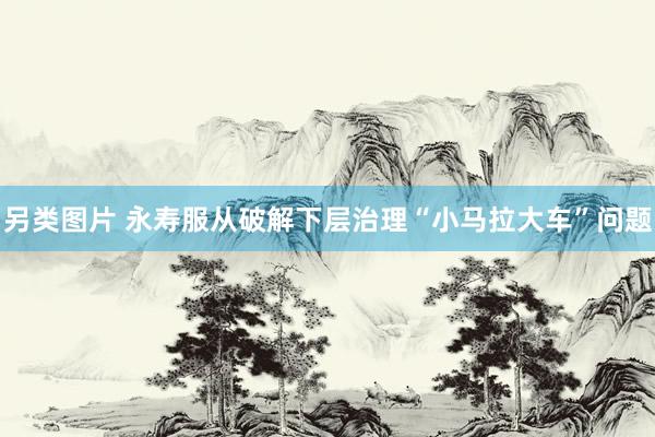 另类图片 永寿服从破解下层治理“小马拉大车”问题