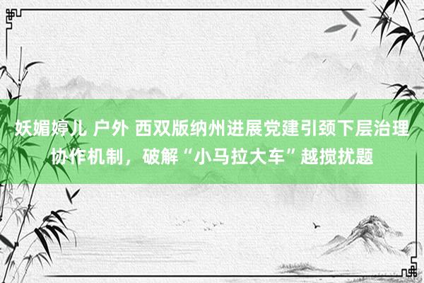 妖媚婷儿 户外 西双版纳州进展党建引颈下层治理协作机制，破解“小马拉大车”越搅扰题