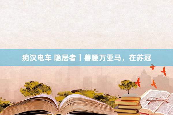痴汉电车 隐居者丨兽腰万亚马，在苏冠